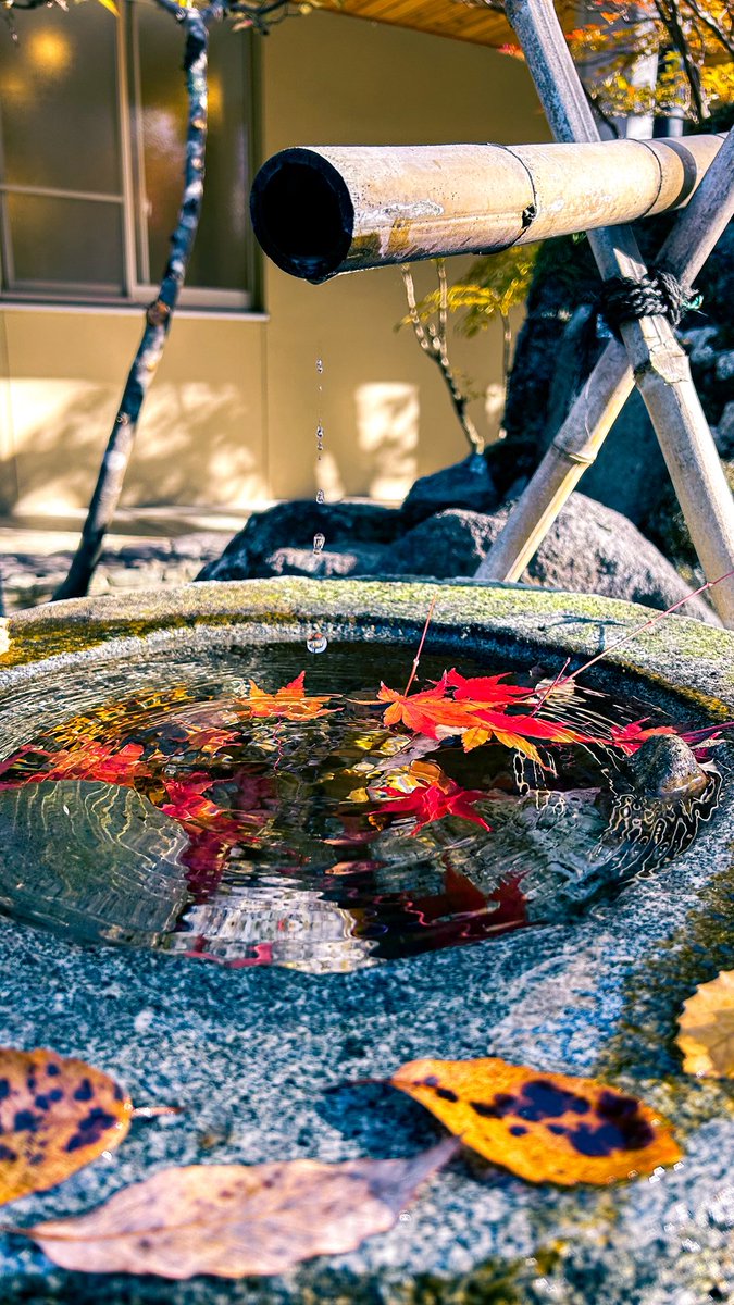 みーにゃ (@n0e8a2r4note) / Posts / X