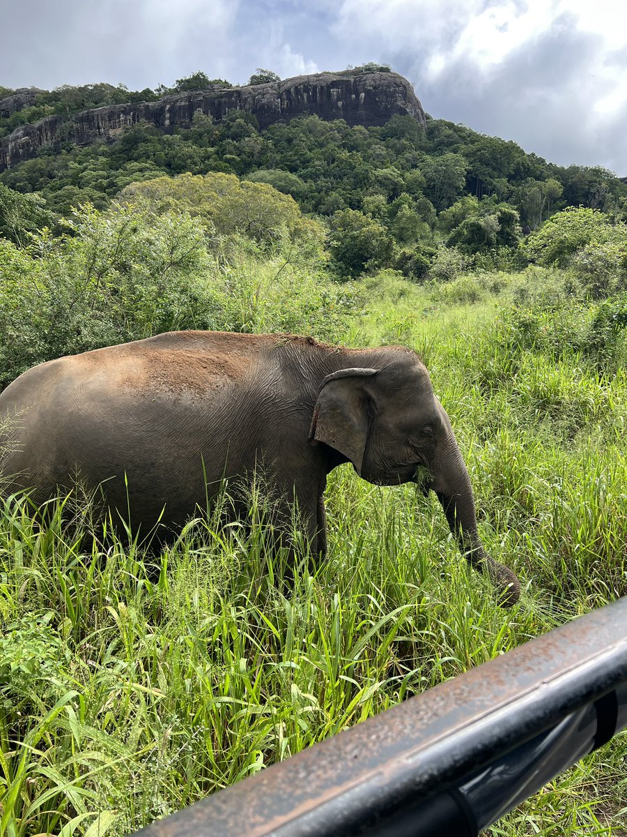 PhuckYou_'s tweet image. 3 incredible locations, so much incredible food and a shoot with an amazing crew! Blessed x