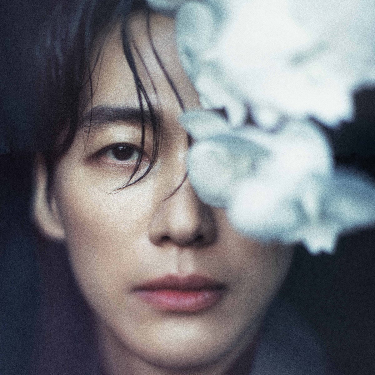 달보드레🕯️ tweet media