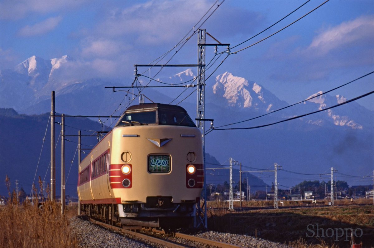 ショッポー (@shopposan0529) / Posts / X