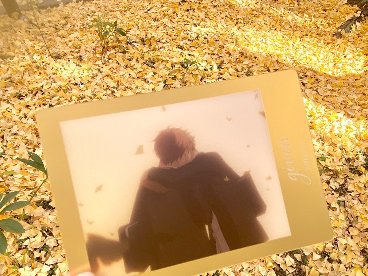 ohugashi's tweet image. にやり🌲💛
友を連行しておさんぽしてきた楽しかった！