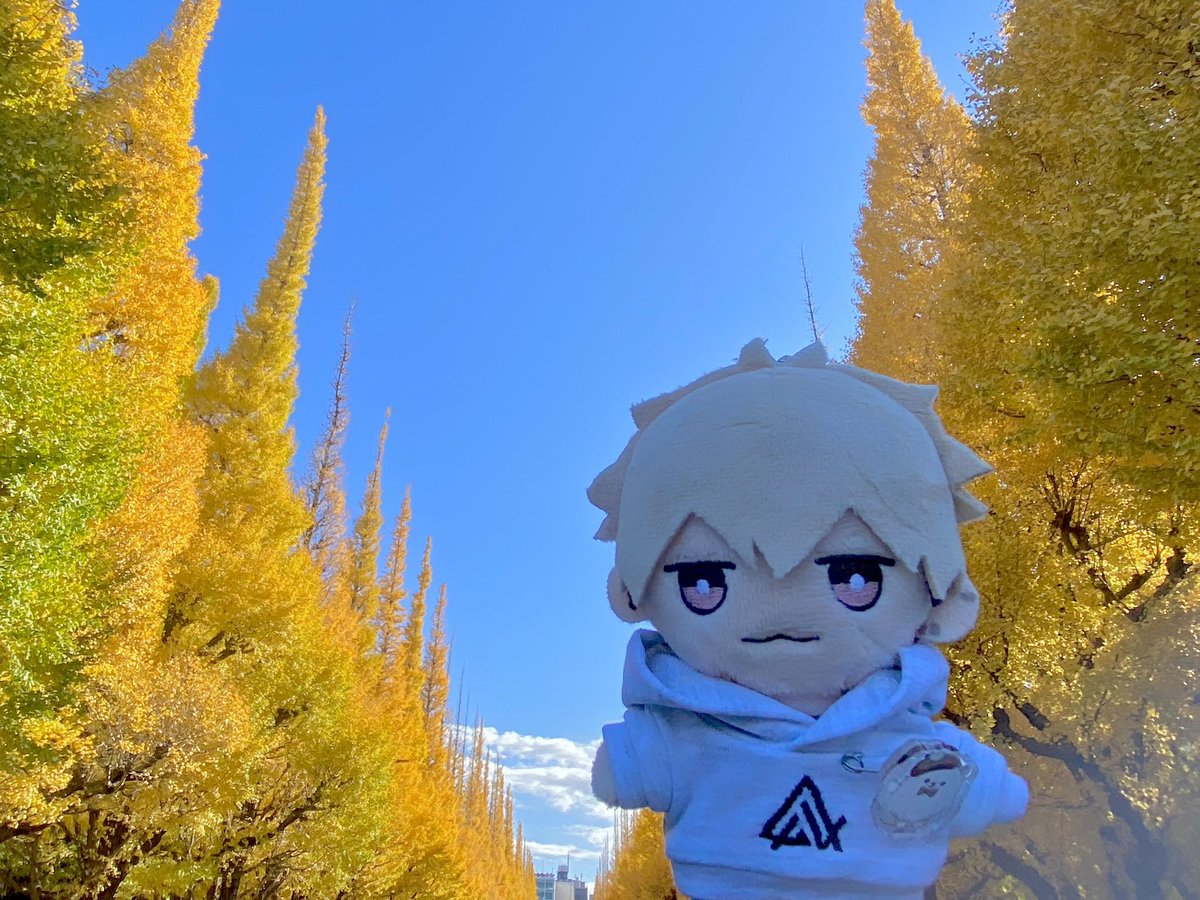 ohugashi's tweet image. にやり🌲💛
友を連行しておさんぽしてきた楽しかった！