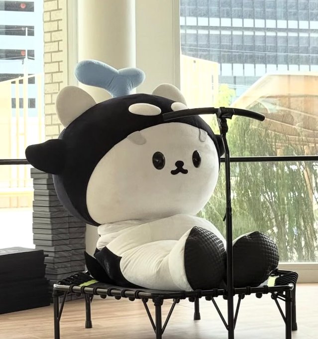 Sang akan duduk dulu sebelum diving 🐳