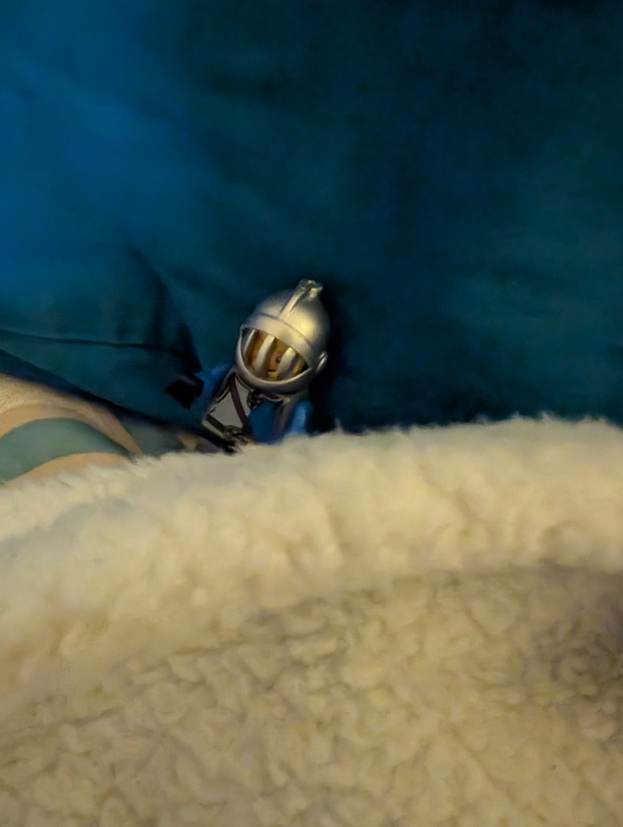 Sir Prise getting ready for his 1st  <a href="/NYSCATE/">NYSCATE 💡💻</a> Conference.  Looking forward to meeting some awesome new people.  Come meet him at NYSCATE Central and get a selfie.