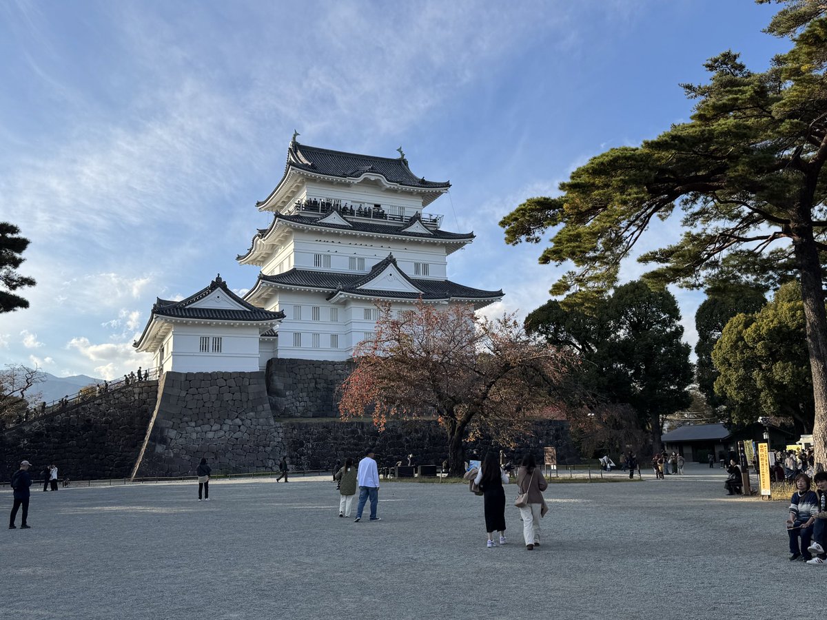 ひじり@さくら鯖 tweet media