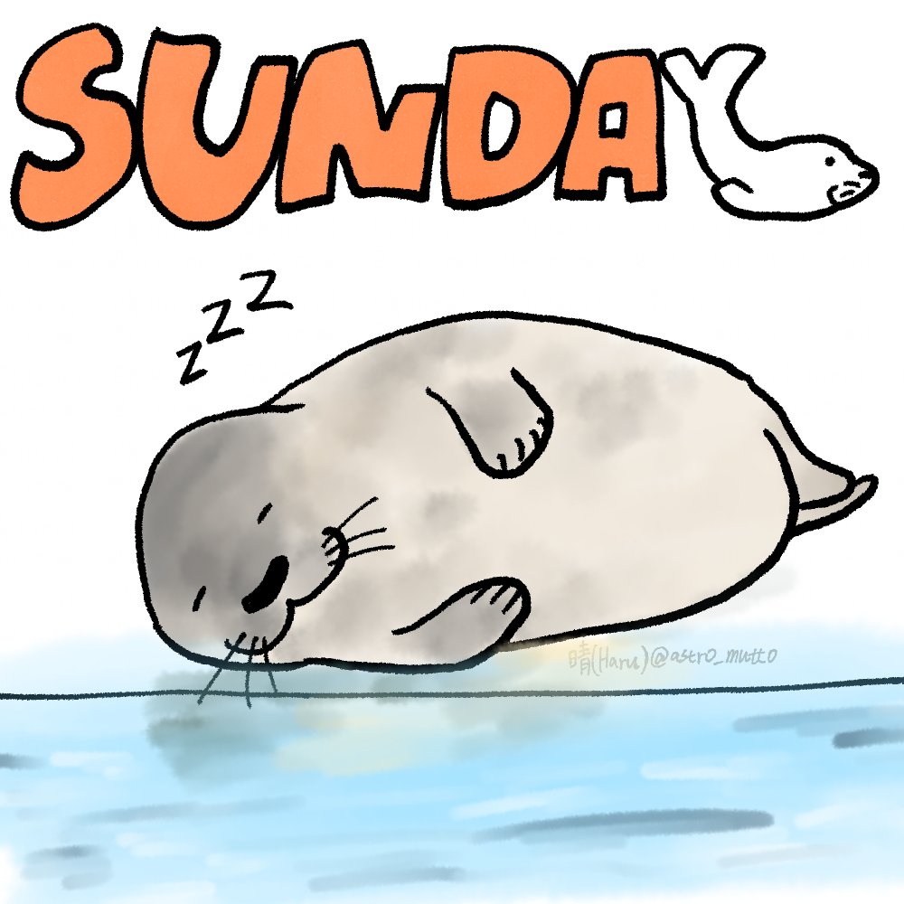 おはようございます☀️

Goedemorgen ☀️