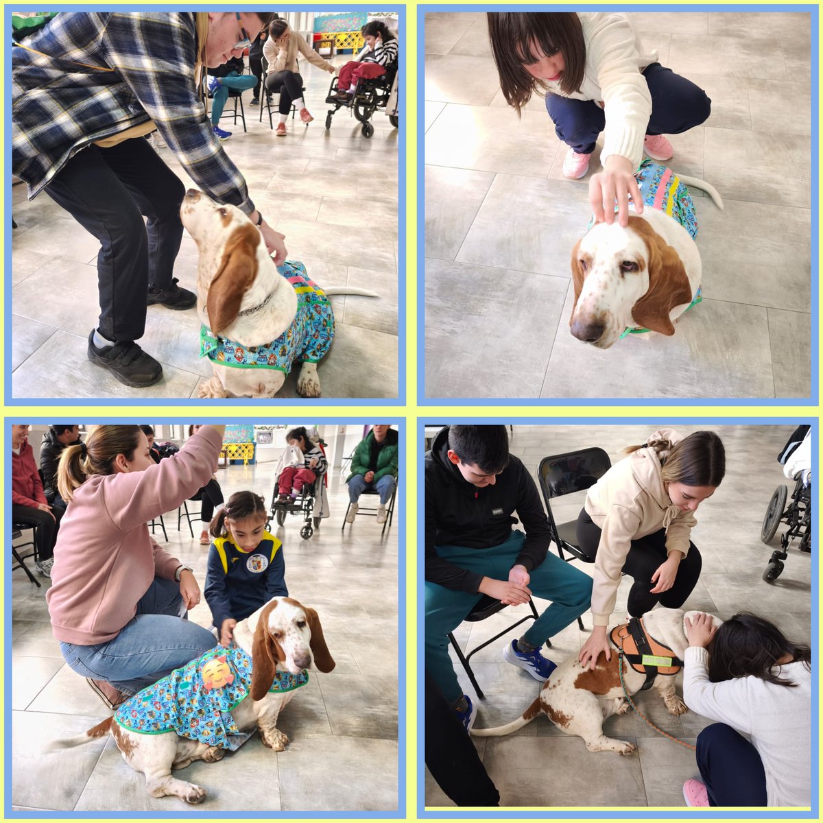 EpiscopalEku's tweet photo. Estamos super contentos de comenzar las sesiones de intervención asistida con kumi y con el colegio de Asprona. 🐾🐶🫶🏽❤️
#Juntosencamino https://t.co/bgvaDESUck