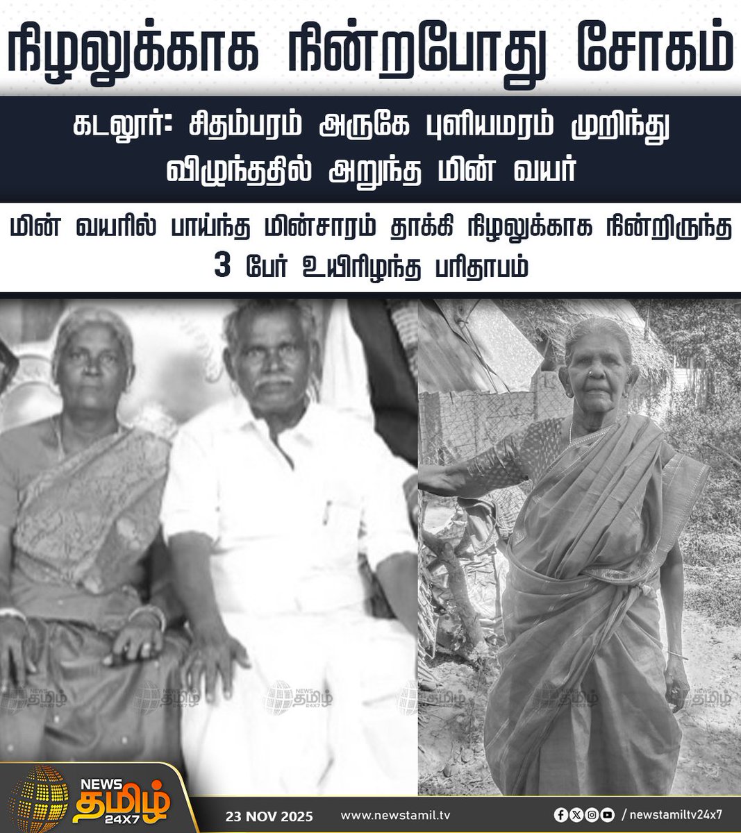 NewsTamilTV24x7's tweet image. #NewsTamil24x7NewsUpdate || நிழலுக்காக நின்றபோது சோகம்

கடலூர்: சிதம்பரம் அருகே புளியமரம் முறிந்து விழுந்ததில் அறுந்த மின் வயர் 

மின் வயரில் பாய்ந்த மின்சாரம் தாக்கி நிழலுக்காக நின்றிருந்த 3 பேர் உயிரிழந்த பரிதாபம்

#Cuddalore #Electricalwire #Death #TamilNews #NewsTamil