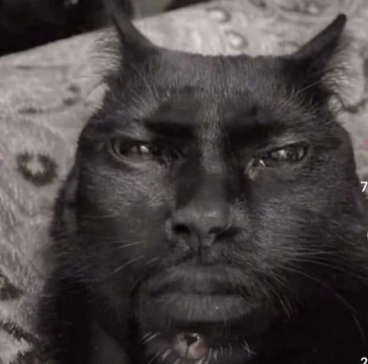 veH0rny's tweet image. Why are you guys surprised that most users online are from the most populated country on the planet?