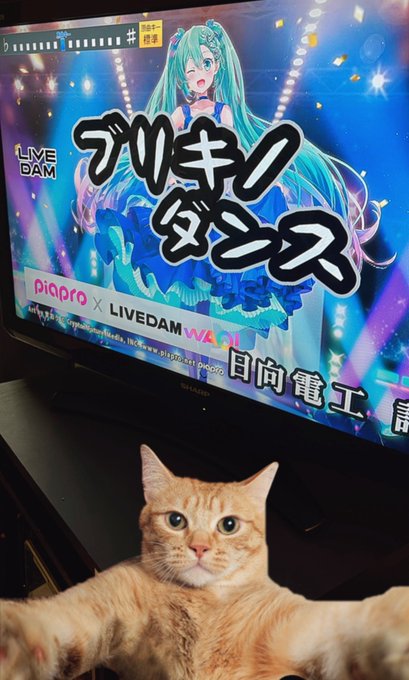 Luna Charme ~ルナシャルム~のツイート