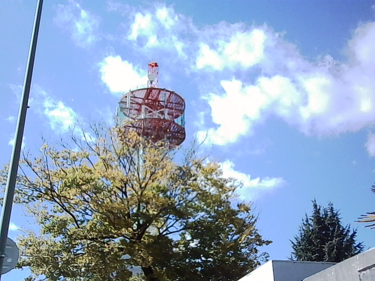 with_mercury's tweet image. 何気ない幸せ。
#toycamera 
 #Snapshot