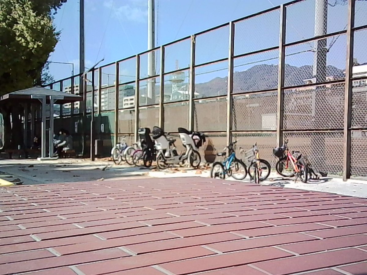 with_mercury's tweet image. 何気ない幸せ。
#toycamera 
 #Snapshot