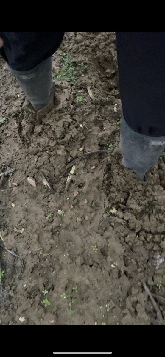 UpMuddy's tweet photo. Enjoy this extended trudge through this soft, sticky field mud to celebrate 600 TikTok followers! #mud #muddy #muddywellies #stuckinthemud https://t.co/9jarscKvDQ https://t.co/2cLK4MhvpN