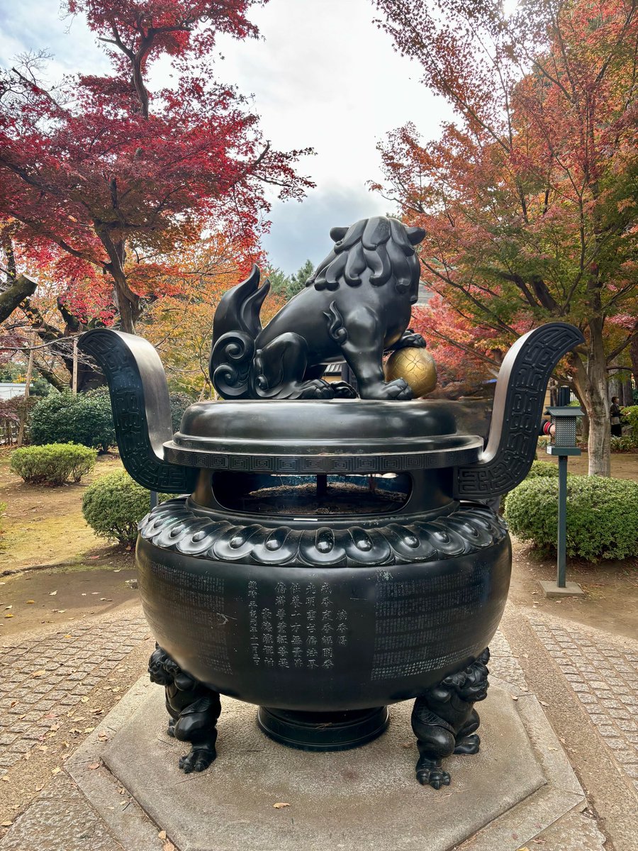 cstkhs's tweet image. 紅葉＆招き猫を拝みに豪徳寺へ🍁🐈

大きい招き猫の頭や右手に乗ってる一番小さい豆サイズの招福猫児500円が欲しかったけど売り切れてた😿

5号サイズはまだ売ってたけど本気度が出過ぎていてちょっと怖かったので断念💦