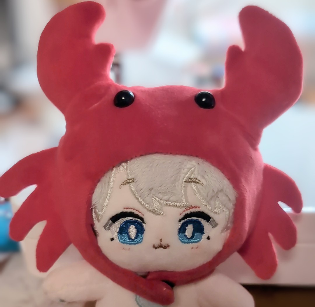 chacha＠ぬいぐるみオーダーのmofuri (@chacha_ocha15) / Posts / X