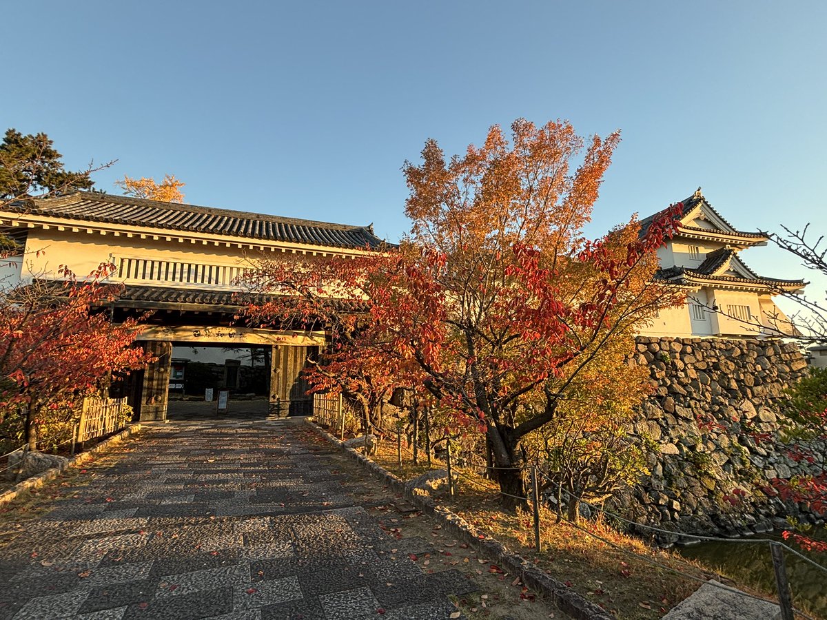 明日もいい天気になりそう。そんな晴天に夕刻、この時期写真を撮るならこの時間帯ですかね。

先日に続き隅櫓を📷ﾊﾟｼｬﾘ