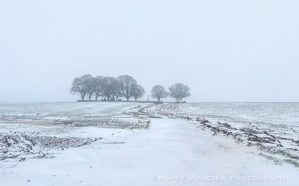 The snow returns to the Somme. Courcelette British cemetery, taken not long after sunrise this morning 
#ww1 #somme
