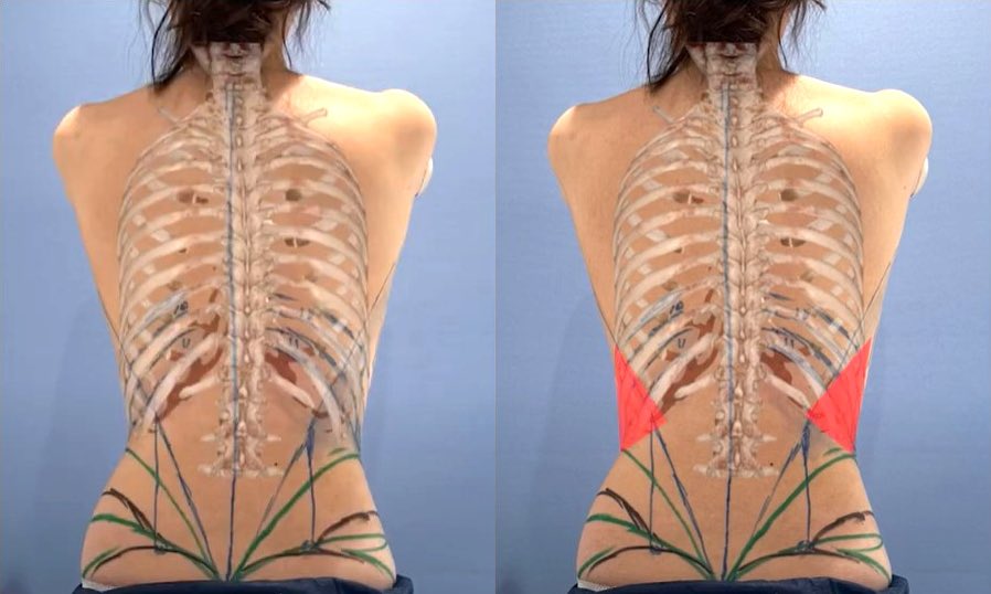 ミルヒト (@kno32) / Posts / X