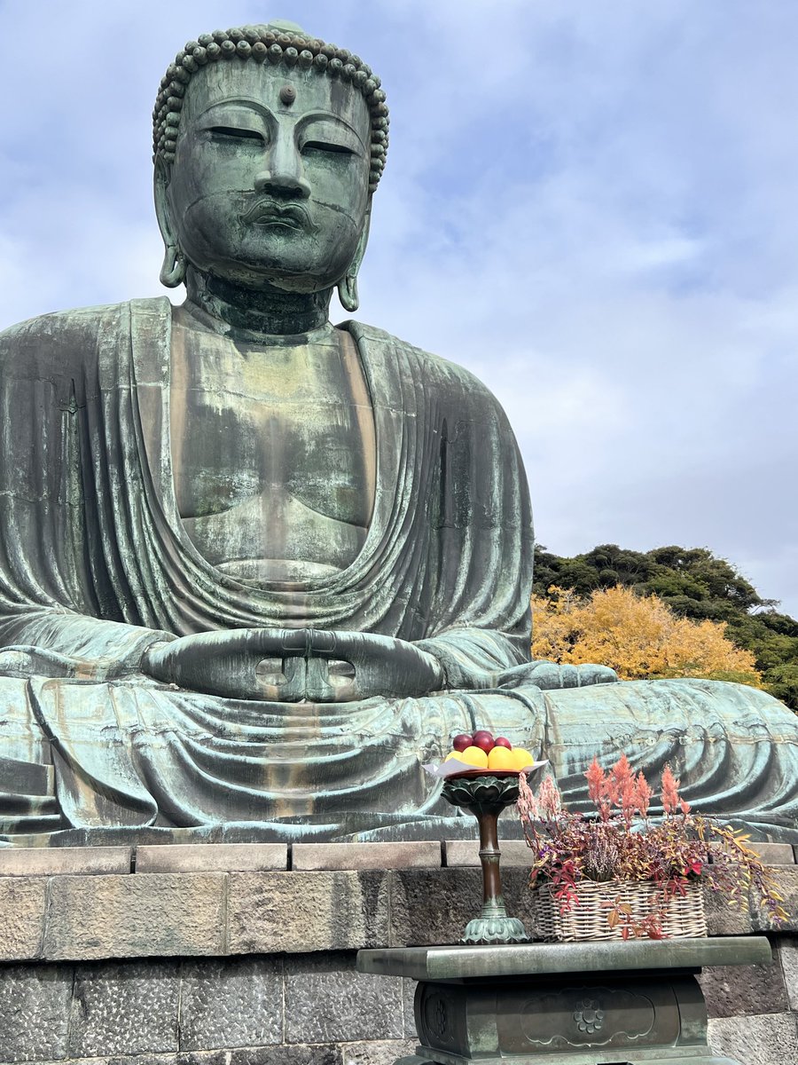 薄ら半透鳴 tweet media