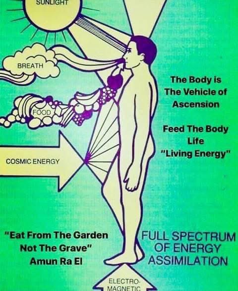 There are 5 main ways in which we absorb energy. 

Direct sunlight 
Breath,
Food,
Grounding(BareFeet to Earth), 
and Meditation(Cosmic Energy).

If you're spending time in the sun daily, breathing deep, eating living foods, walking barefeet on the earth, and doing daily