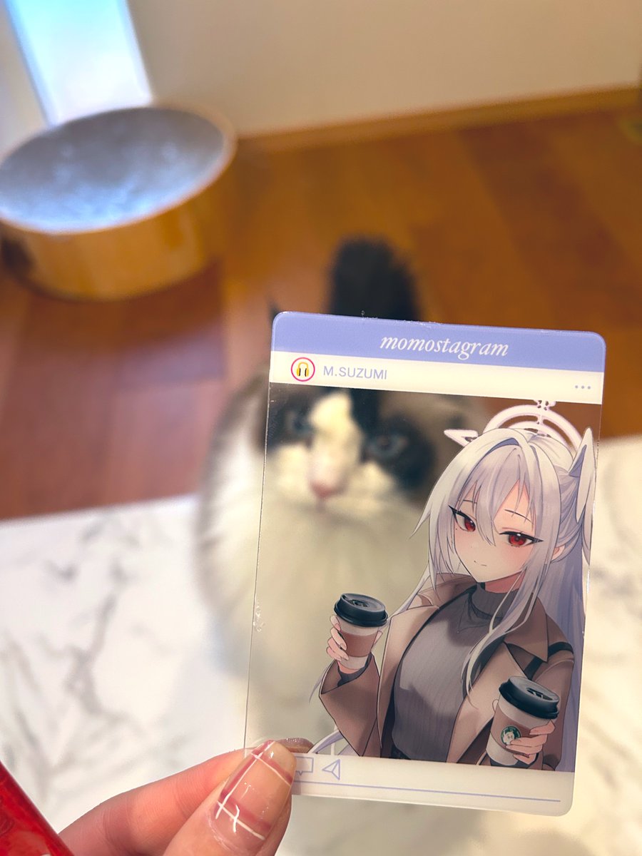 Zeita_gundam's tweet image. よくできてる
スズミとカフェデートしたい人にピッタリ