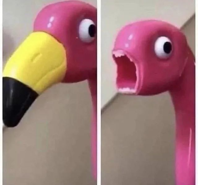 AAAAA4A4AAAAA's tweet image. 