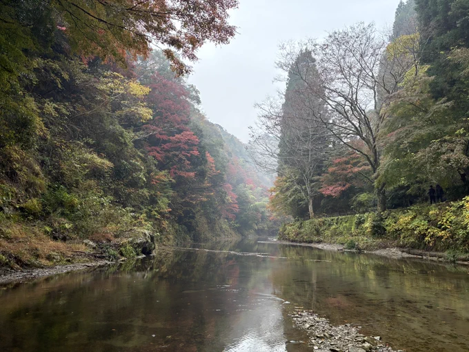 養老渓谷で紅葉狩り 千葉はの紅葉まだちょっとだけ見頃には早かったようですが、滝を見たり、中洲でマイナスイオンを摂取してたっぷり楽しめました