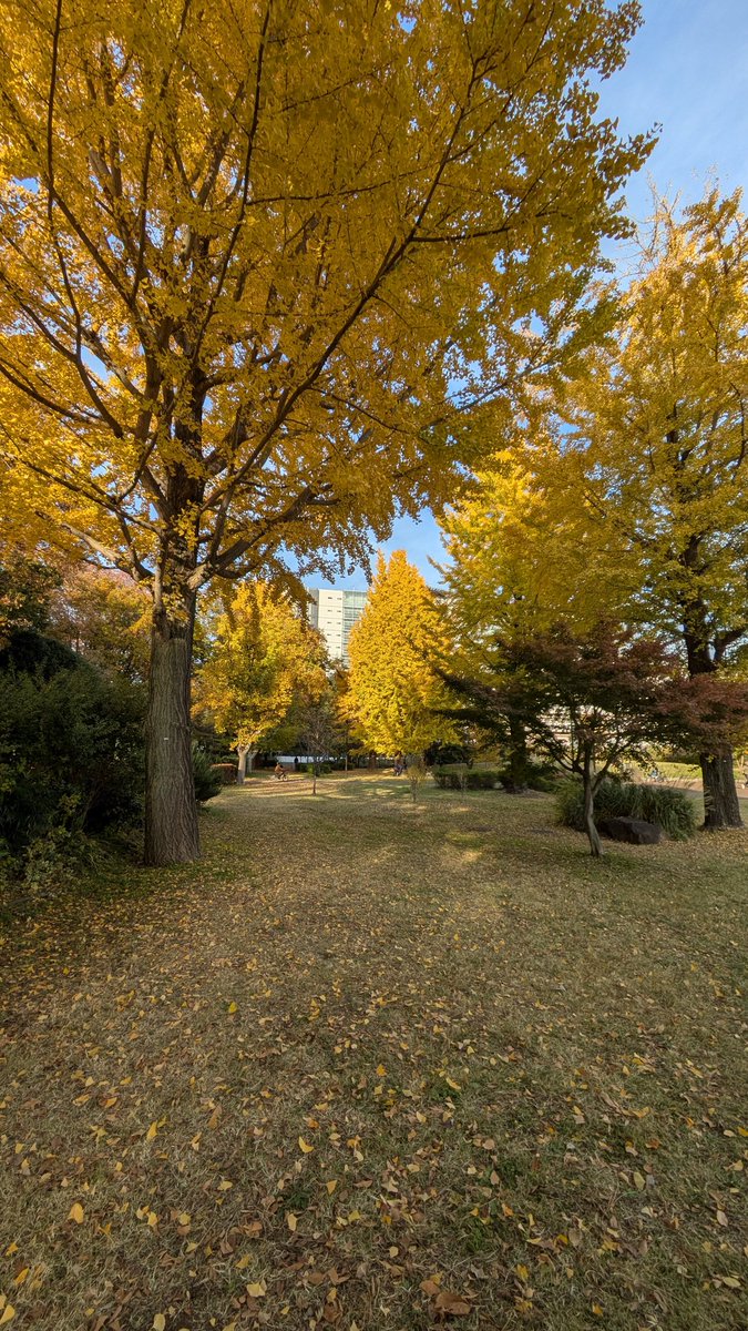 jo3_pbb's tweet image. 久しぶりの公園散歩デス