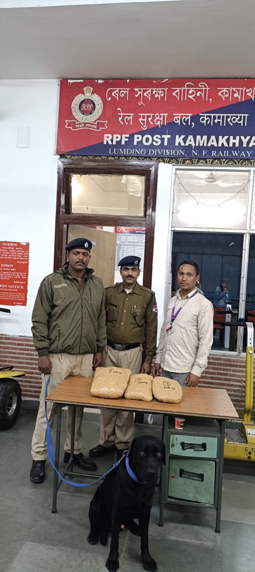 #OperationNarcos
<a href="/RPF_INDIA/">RPF INDIA</a>
<a href="/RailMinIndia/">Ministry of Railways</a>
<a href="/zscrnfr/">ZSCRNFR</a>
<a href="/drm_lmg_nfr/">मं.रे.प्र.लामडिंग, पू.सी.रेलवे / DRM LUMDING NFR</a>
<a href="/rpfpckyq/">RPF post Kamakhya</a>
On 22.11.2025 RPF_CIB_LMG  &amp; DS party recovered 4.120 Kg’s Ganja valued Rs.41,200/- from KYQ Stn &amp; further handed over to OC/GRPS/GHY for legal process.
