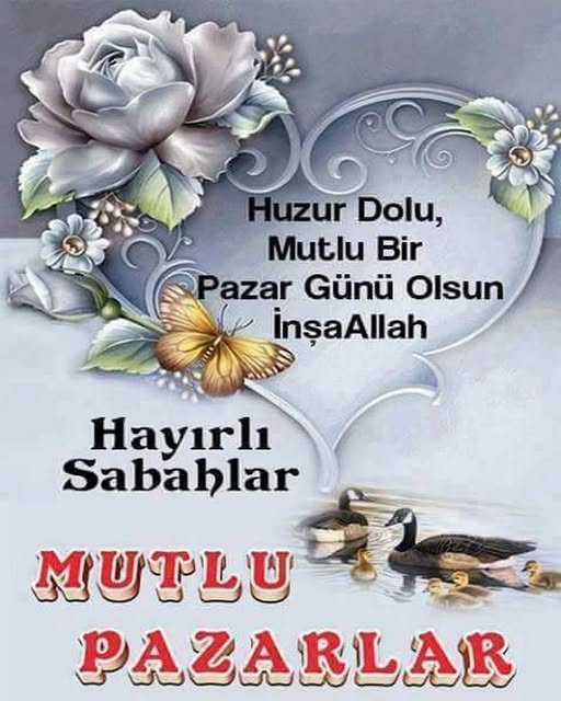 Mutlu Celal Can (@celalcanmut33) on Twitter photo 