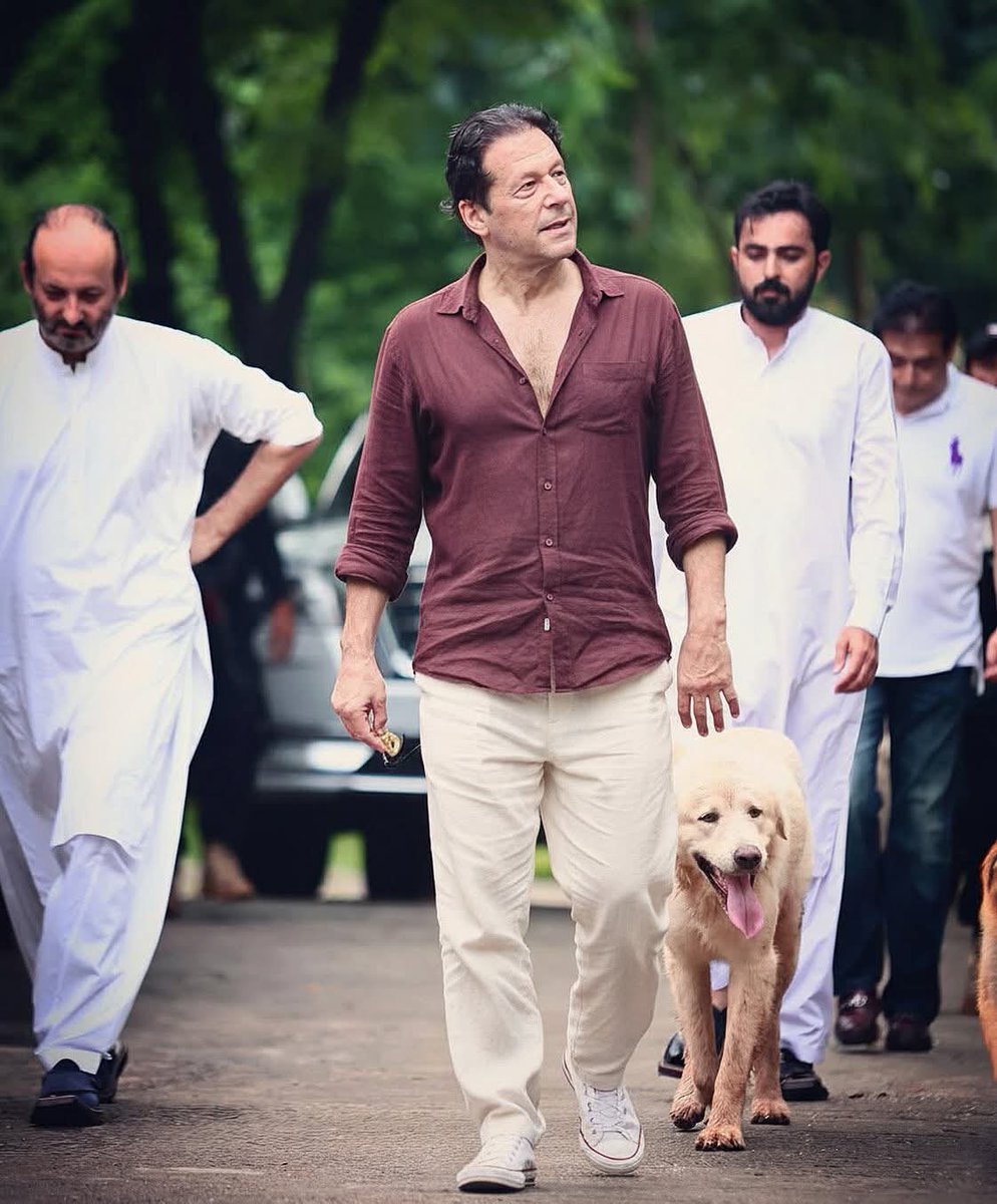 AdeelAsifPkOne's tweet image. کتا کون سی نسل کا ہے؟