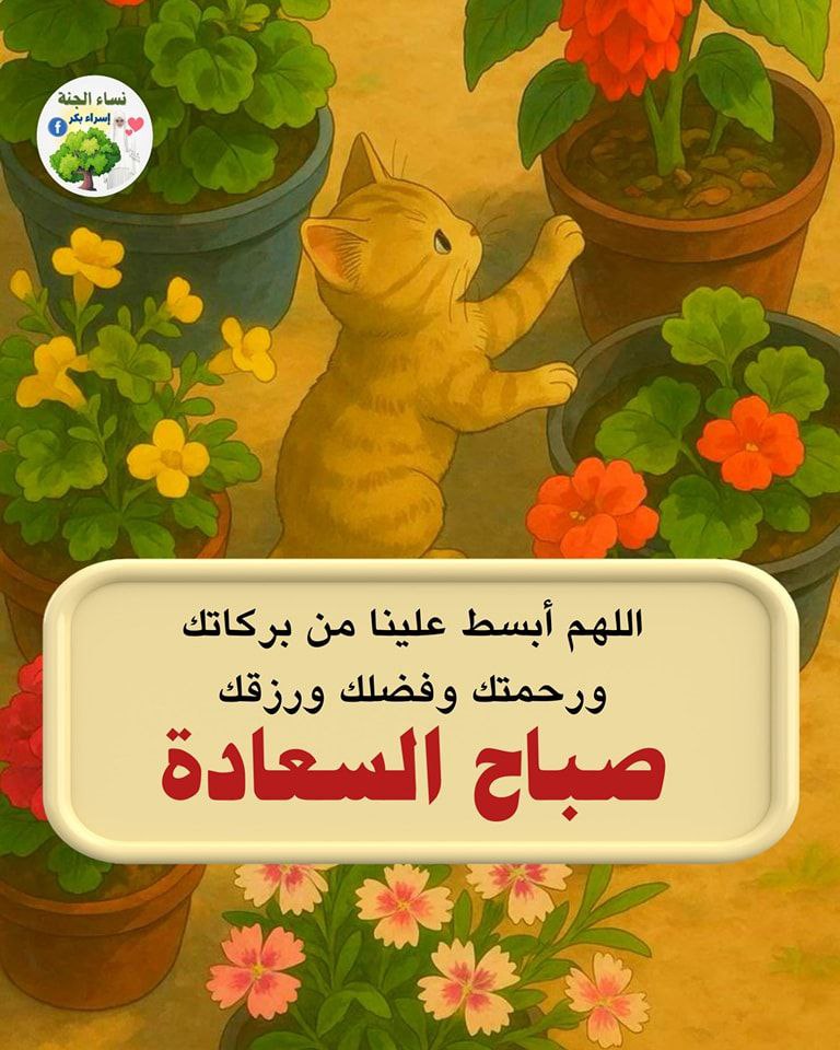 🦋ɑ̈ɹɹ̈̇ɹȊȷᓅ🦋 tweet media