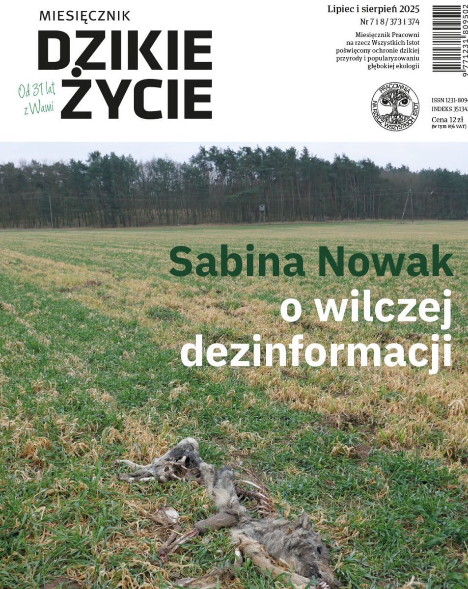 ✳️ Wszystkie artykuły tego numeru są do Waszej dyspozycji: #wilki, tygrysy, szpaki. 
Ludzkie przebudzenie.
Myśląc jak grzybnia.
dzikiezycie.pl/archiwum/2025/…
