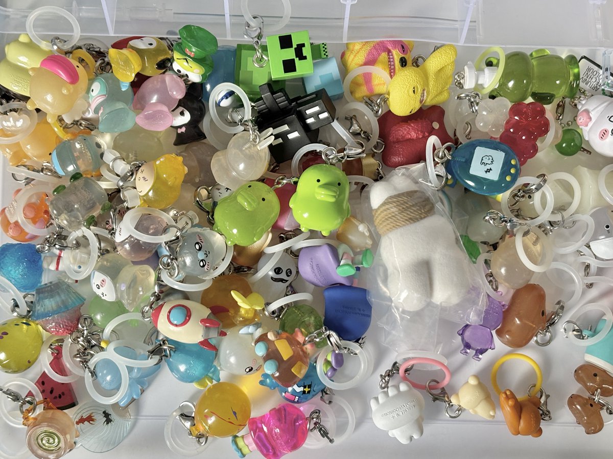 0live51's tweet image. 잠깐 꺼냈다가 다 쏟아서 그냥 사진이나 한방 박음…