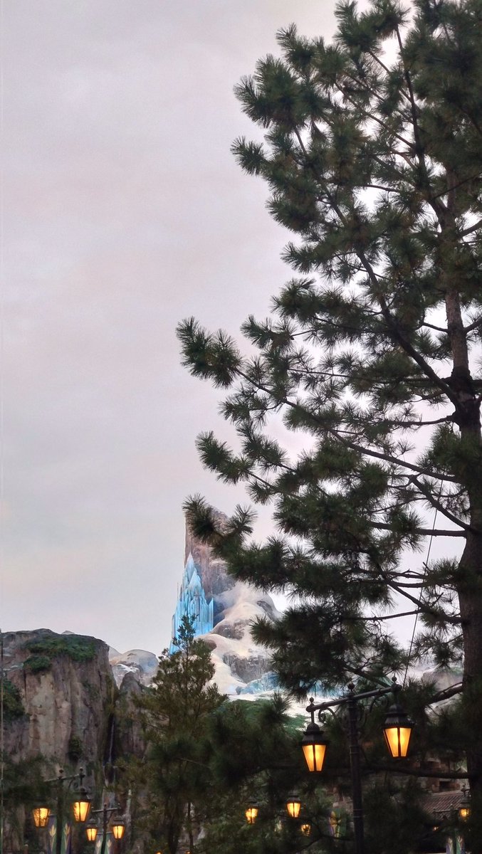 sayonaomomo's tweet image. ここまでが遠い。。