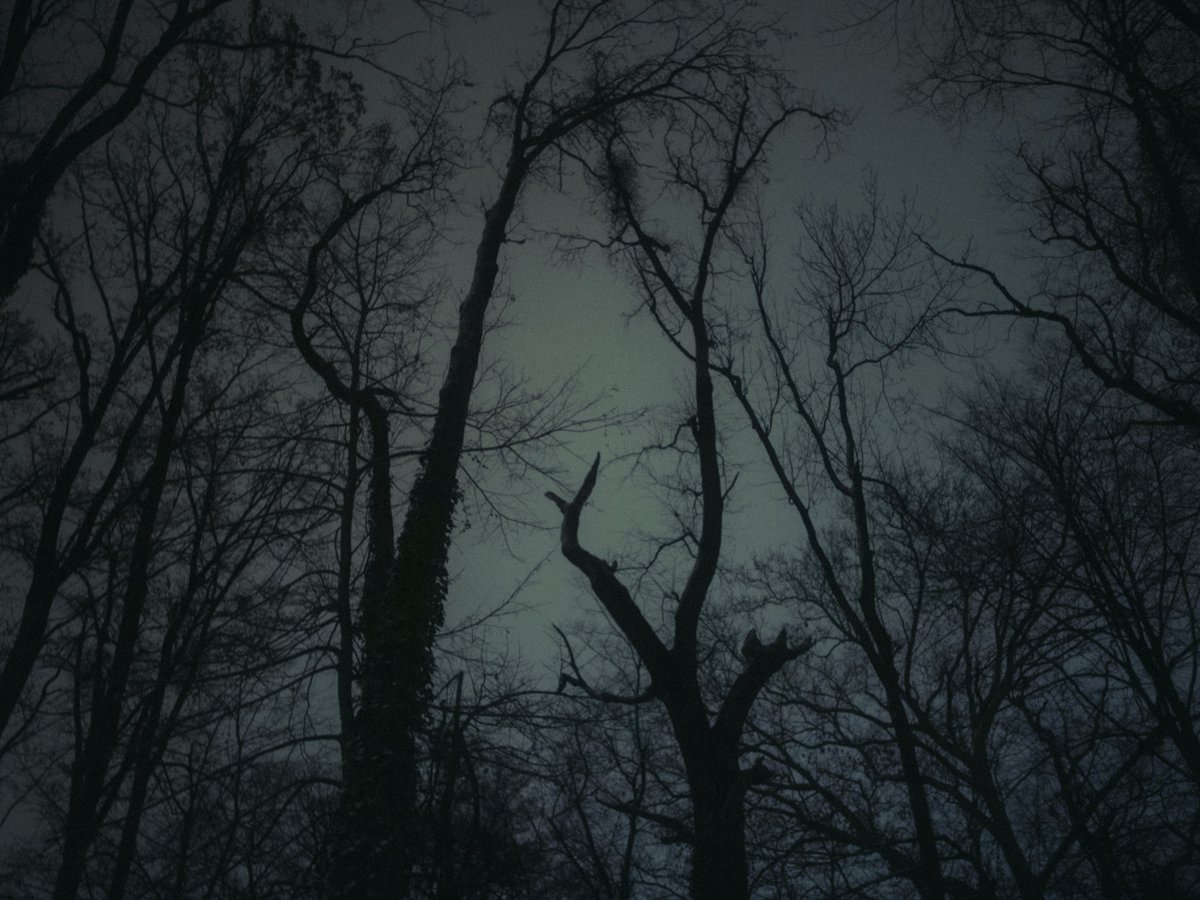 ipirateadobe's tweet image. 