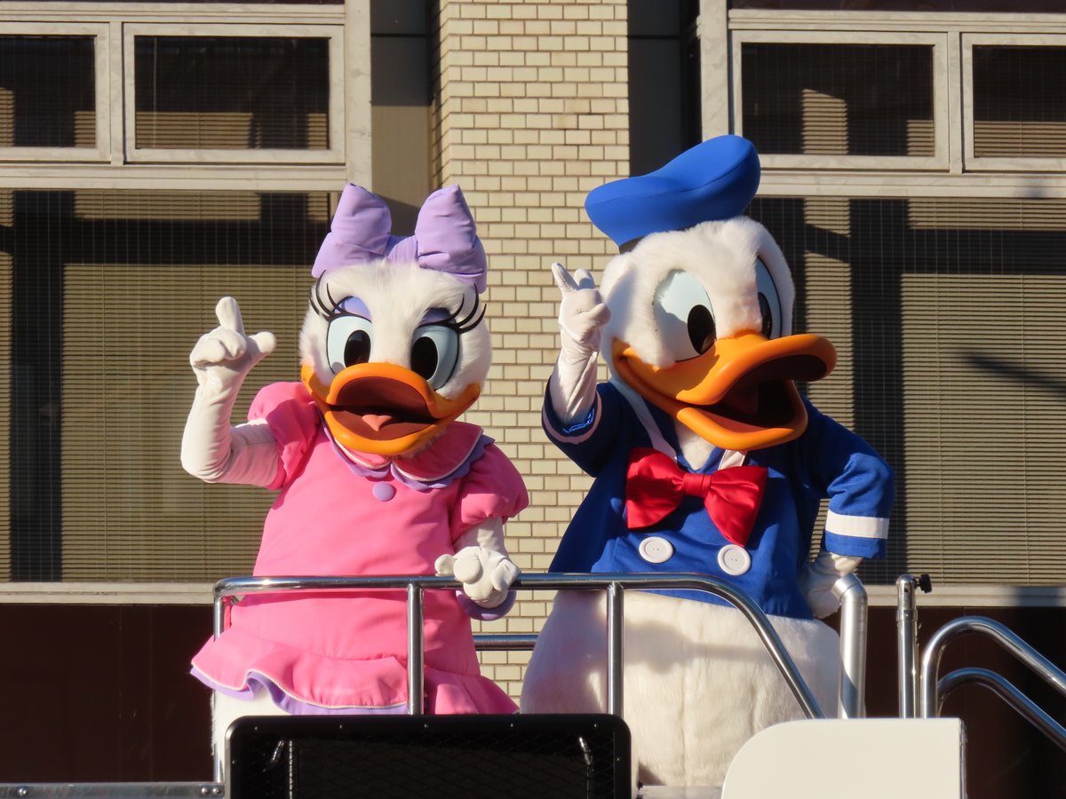uchakomama's tweet photo. 和歌山市のディズニーパレード。ミッキーたちが登場するとパレードの子供たちが大歓声！大勢の人たちがミッキーの名前を呼んだり手を振って大人も子供も大喜び。ミッキーマウスマーチの曲にのって２台のフロートは行ってしまったけれど、みんな笑顔でキラキラ！ミッキーとミニーはチューしてたね🥰 https://t.co/uAwbmmlvxt