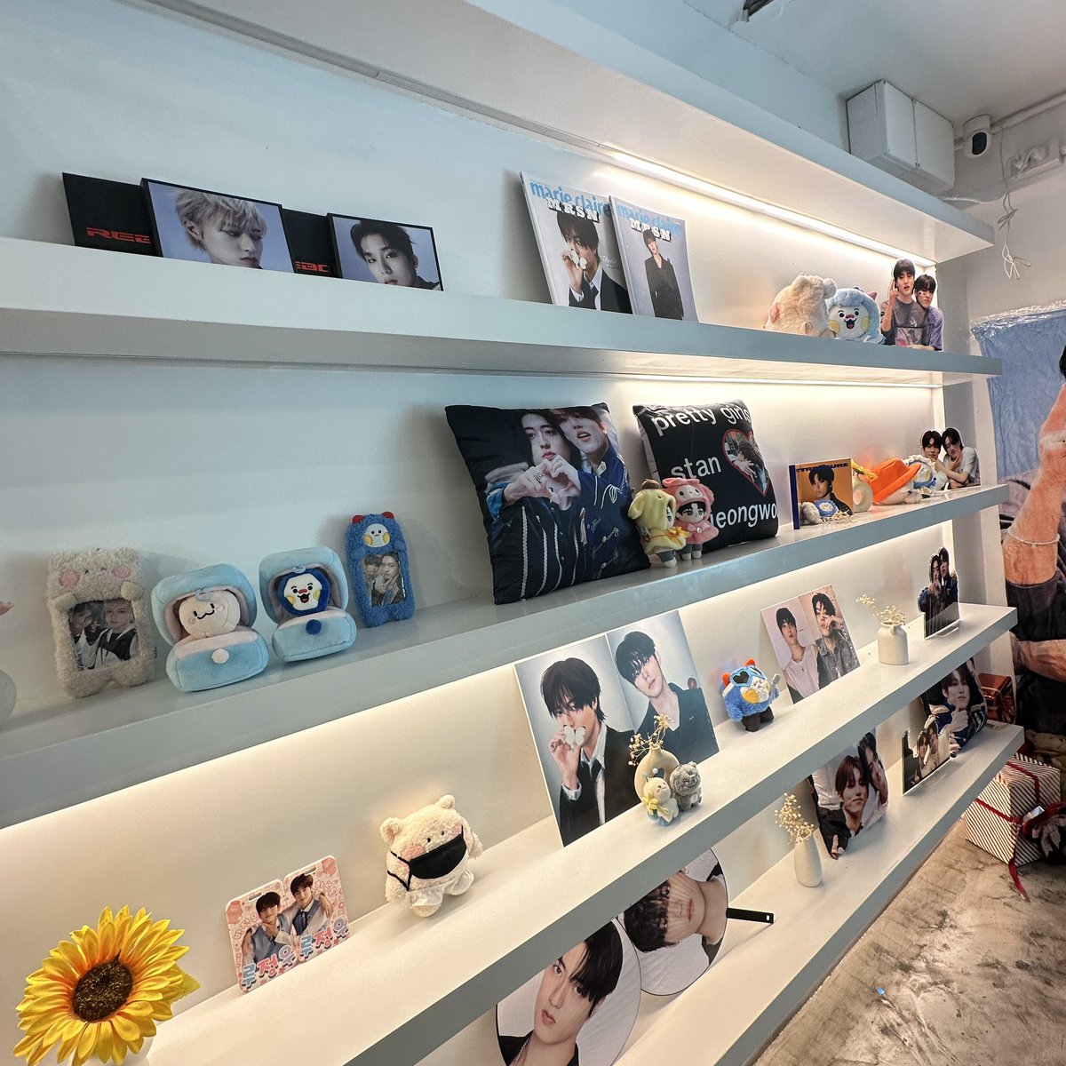 🐺🧩🦋 #PerfectPuzzlePiecesRJW