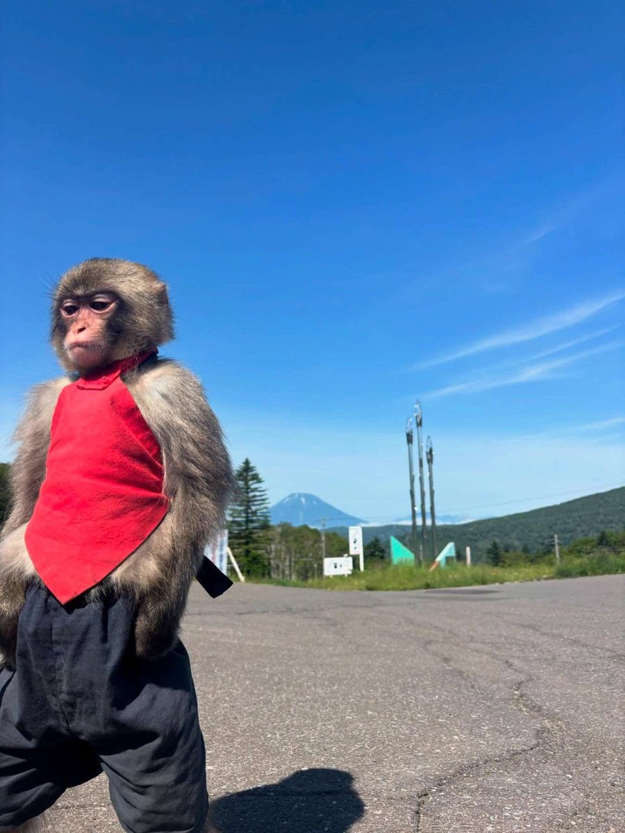 gm frens, 

let’s preach : 

<a href="/0xMiden/">Miden</a> is pioneering edge blockchain tech where devices do computations locally and upload zero-knowledge proofs for verification.

the future of decentralized computation is here.

<a href="/EdgenTech/">Edgen</a> is redefining market intelligence with AI.

with Edgen,