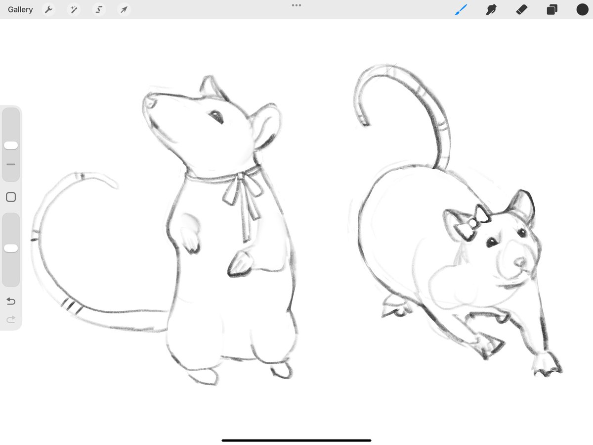 sketching rats as a warm up before i work on commissions today 