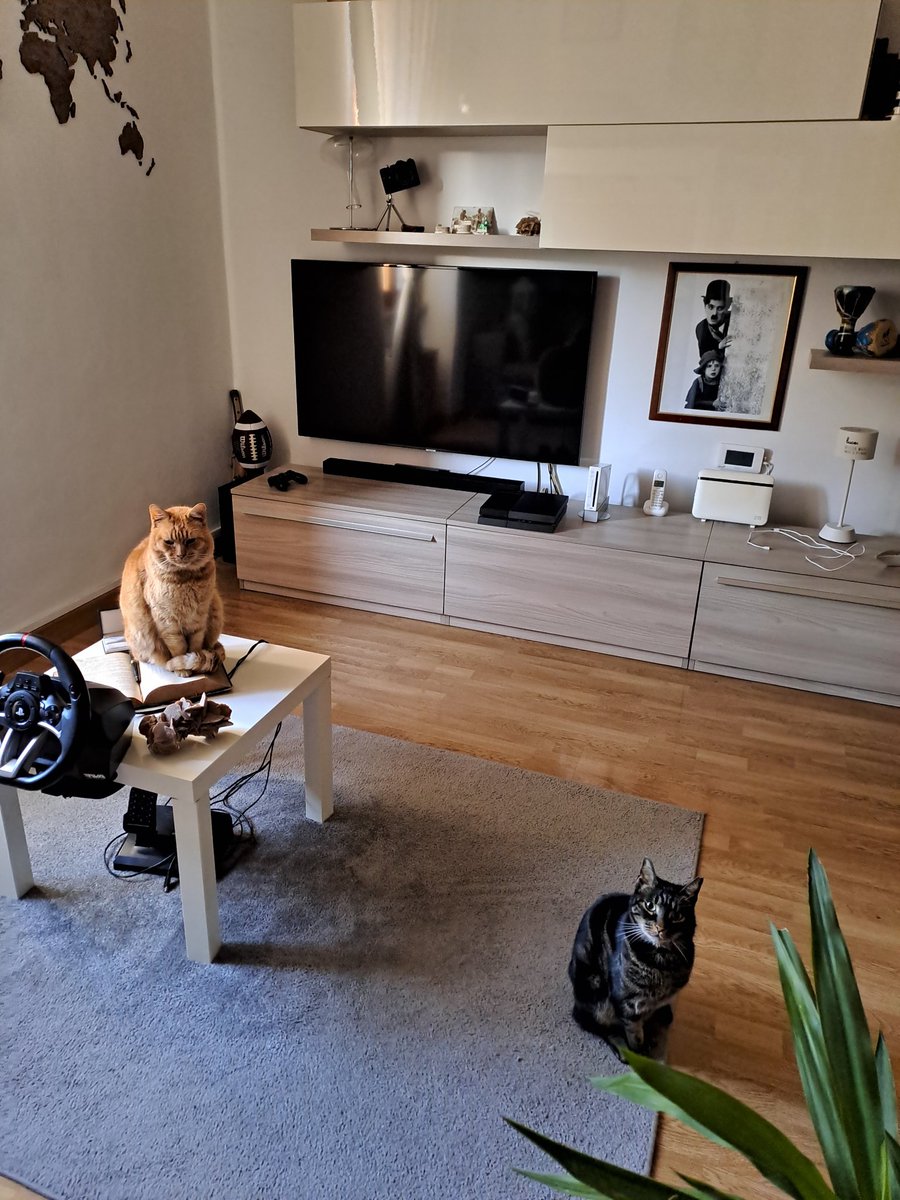 Buona Domenica🐈❤️