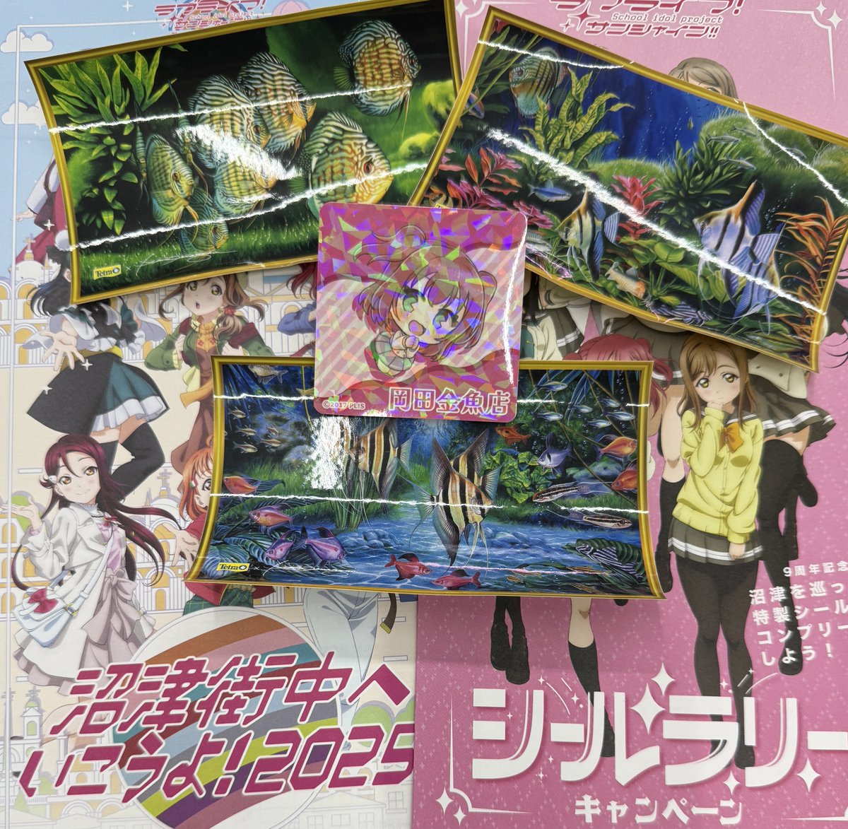昔のテトラさんの非売品シールがどっさり出てきたので、当店お買い上げ