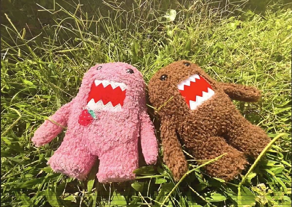 DivasEm0s tweet media