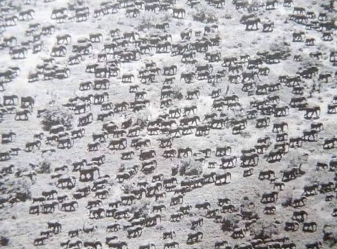 ArchaeoHistories tweet media