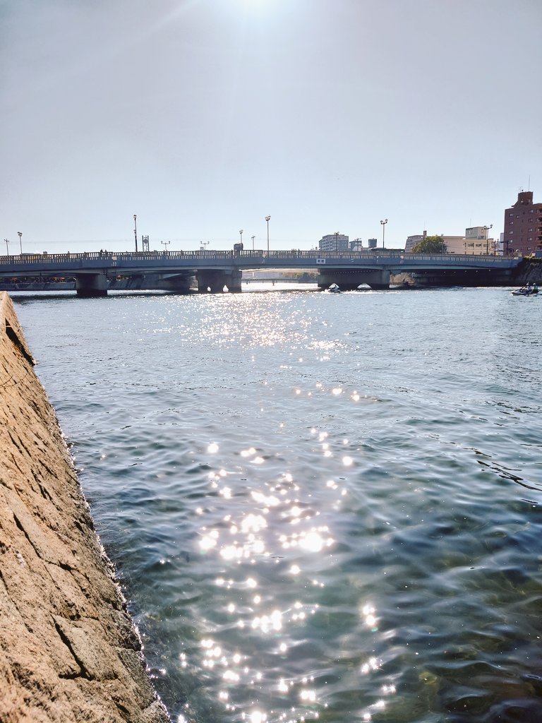 tamazon21711117's tweet photo. 今日は川辺で日向ぼっこ😊
#RiverDo 🏄️ https://t.co/Mt29ewBjZG