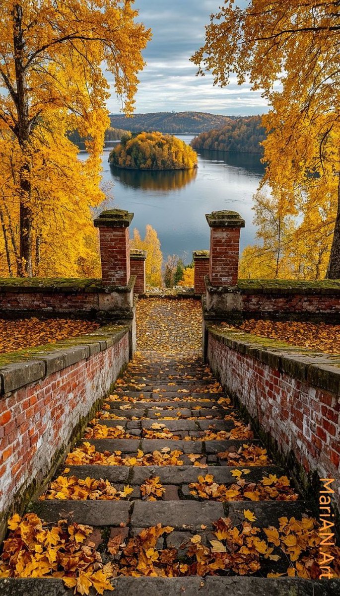 AS3486's tweet image. Good Morning dear friends 💛☕🍂
Happy Sunday 🥰🤗