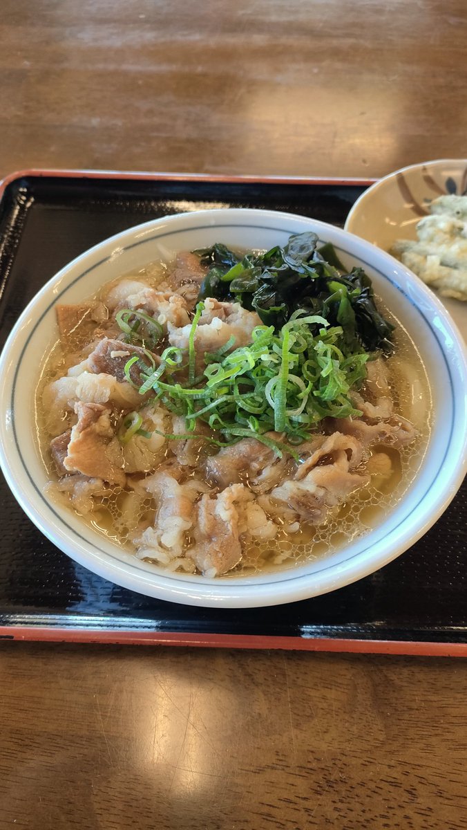 miyoshi8455656's tweet image. 休日出勤営業一人飯。三谷の根っこさんで肉うどんと、最近野菜食べてないなといんげんの天ぷら。ゴゴイチでお客様の所に資料お届けして今日はお仕事終了とします。
#根っこ #うどん #肉うどん
