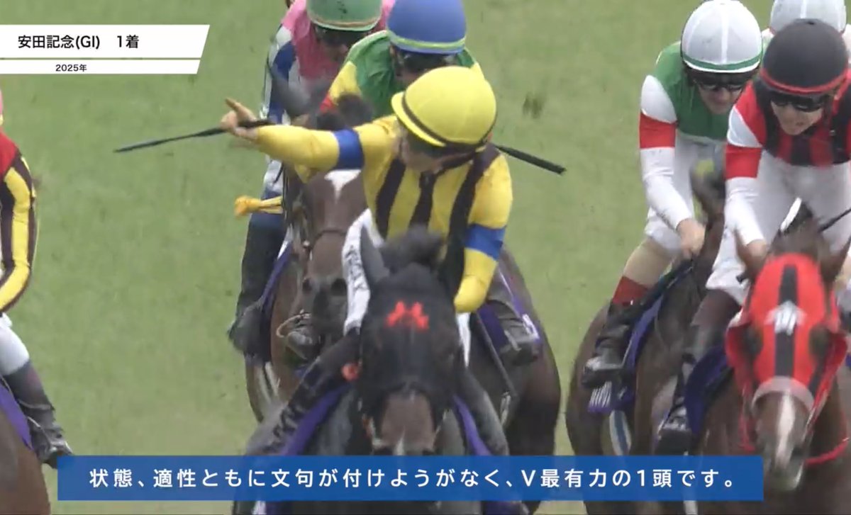 baTAI_padock's tweet image. 完全無欠マイラーの馬体

#ジャンタルマンタル
#マイルCS