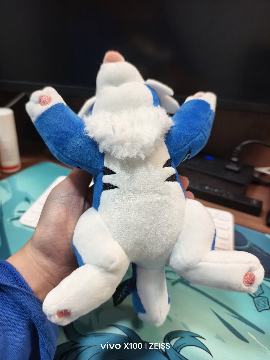 美美的生日礼物