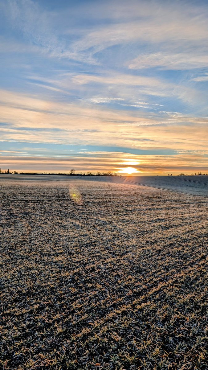 CKTH85's tweet photo. Traumhafter Start in den Tag.
Die beste Rendite überhaupt.
🌅❄️🧥🧤🧣☀️
#lifetime #timerunsfast #winter #sun https://t.co/WdZiJJKJtH